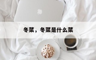 冬菜，冬菜是什么菜