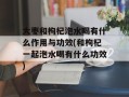 大枣和枸杞泡水喝有什么作用与功效(和枸杞一起泡水喝有什么功效)