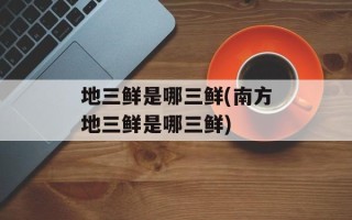 地三鲜是哪三鲜(南方地三鲜是哪三鲜)
