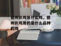 德州扒鸡是什么鸡，德州扒鸡用的是什么品种的鸡