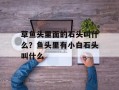 草鱼头里面的石头叫什么？鱼头里有小白石头叫什么