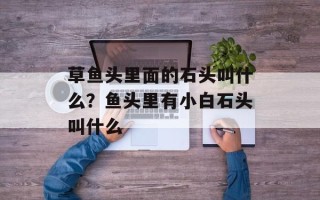 草鱼头里面的石头叫什么？鱼头里有小白石头叫什么