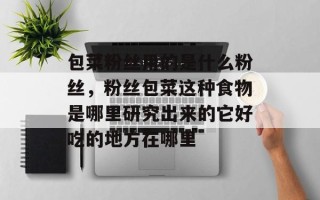 包菜粉丝用的是什么粉丝，粉丝包菜这种食物是哪里研究出来的它好吃的地方在哪里