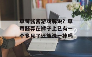 草莓酱酱游戏解说？草莓酱弄在裤子上已有一个多月了还能洗一掉吗