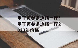 半干海参多少钱一斤？半干海参多少钱一斤2023年价格