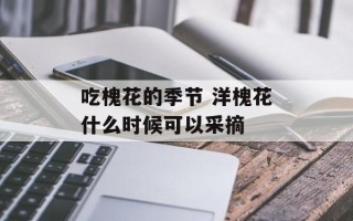吃槐花的季节 洋槐花什么时候可以采摘