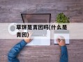 草饼是青团吗(什么是青团)