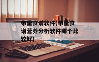 带量食谱软件(带量食谱营养分析软件哪个比较好)