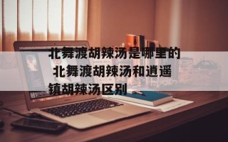 北舞渡胡辣汤是哪里的 北舞渡胡辣汤和逍遥镇胡辣汤区别