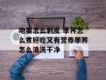 地栗怎么剥皮 荸荠怎么煮好吃又有营养荸荠怎么清洗干净