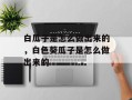 白瓜子是怎么做出来的，白色葵瓜子是怎么做出来的