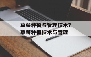 草莓种植与管理技术？草莓种植技术与管理