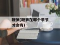 鞭笋(鞭笋在哪个季节才会有)