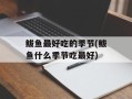 鲅鱼最好吃的季节(鲅鱼什么季节吃最好)