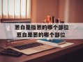 葱白是指葱的哪个部位 葱白是葱的哪个部位