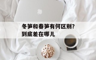 冬笋和春笋有何区别？到底差在哪儿