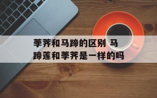 荸荠和马蹄的区别 马蹄莲和荸荠是一样的吗