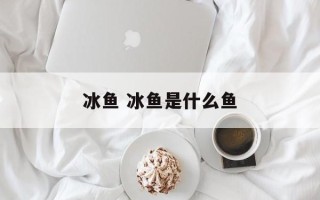 冰鱼 冰鱼是什么鱼