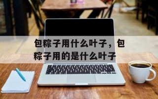 包粽子用什么叶子，包粽子用的是什么叶子