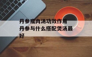 丹参瘦肉汤功效作用 丹参与什么搭配煲汤最好