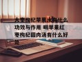 大枣枸杞苹果水有什么功效与作用 喝苹果红枣枸杞圆肉汤有什么好处
