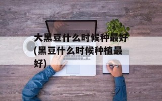 大黑豆什么时候种更好(黑豆什么时候种植更好)