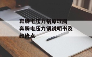 奔腾电压力锅原理图 奔腾电压力锅说明书及维修点