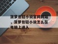 菠萝包轻小说官网网站，菠萝包轻小说怎么在电脑上进入