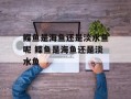 鲽鱼是海鱼还是淡水鱼呢 鲽鱼是海鱼还是淡水鱼