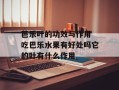 芭乐叶的功效与作用 吃巴乐水果有好处吗它的叶有什么作用