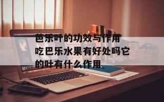 芭乐叶的功效与作用 吃巴乐水果有好处吗它的叶有什么作用