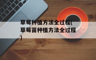 草莓种植方法全过程(草莓苗种植方法全过程)