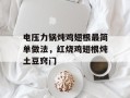 电压力锅炖鸡翅根最简单做法，红烧鸡翅根炖土豆窍门