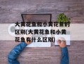大黄花鱼和小黄花鱼的区别(大黄花鱼和小黄花鱼有什么区别)