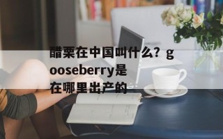 醋栗在中国叫什么？gooseberry是在哪里出产的