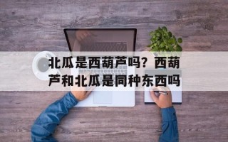 北瓜是西葫芦吗？西葫芦和北瓜是同种东西吗