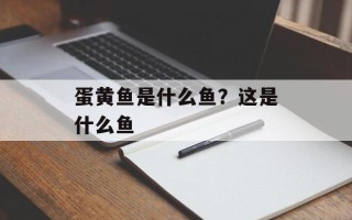 蛋黄鱼是什么鱼？这是什么鱼