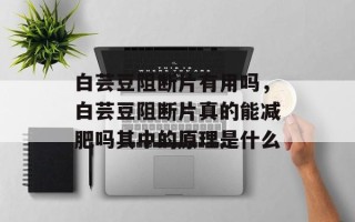 白芸豆阻断片有用吗，白芸豆阻断片真的能减肥吗其中的原理是什么