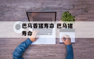 巴马香猪寿命 巴马猪寿命