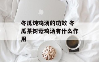 冬瓜炖鸡汤的功效 冬瓜茶树菇鸡汤有什么作用