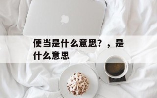 便当是什么意思？，是什么意思
