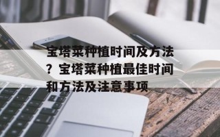 宝塔菜种植时间及方法？宝塔菜种植最佳时间和方法及注意事项