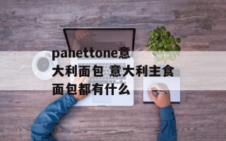 panettone意大利面包 意大利主食面包都有什么