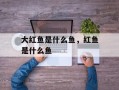 大红鱼是什么鱼，红鱼是什么鱼