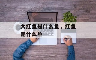 大红鱼是什么鱼，红鱼是什么鱼