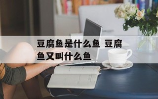 豆腐鱼是什么鱼 豆腐鱼又叫什么鱼