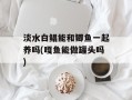 淡水白鲳能和鲫鱼一起养吗(嘎鱼能做罐头吗)