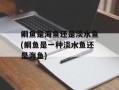 鲷鱼是海鱼还是淡水鱼(鲷鱼是一种淡水鱼还是海鱼)