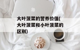 大叶菠菜的营养价值(大叶菠菜和小叶菠菜的区别)