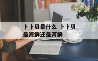 卜卜贝是什么 卜卜贝是海鲜还是河鲜